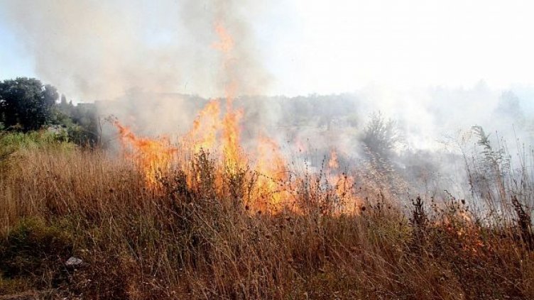 166 пожара са погасени само през вчерашния ден