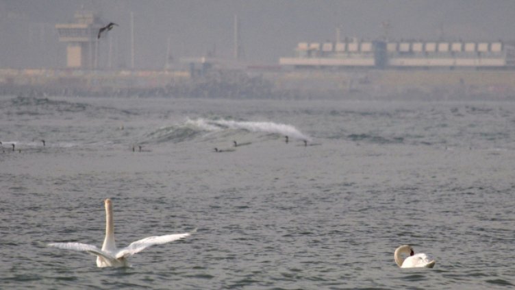Изпращаме януари с вятър и валежи