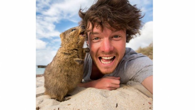 Кой е съвременният д-р Дулитъл