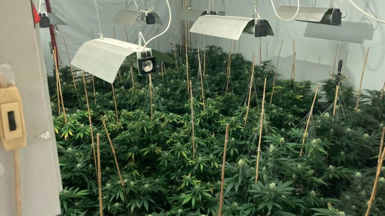 Криминалисти удариха пазара на дрога във Варна (Снимки)