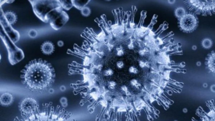 Няма висока заболеваемост сред учениците във Варна