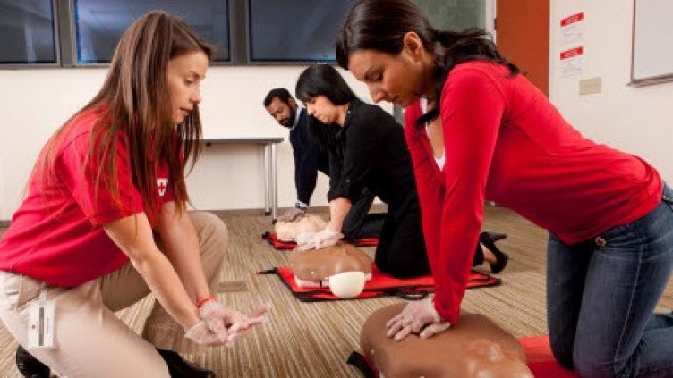 COVID мерките спряха издаването на нови шофьорски книжки