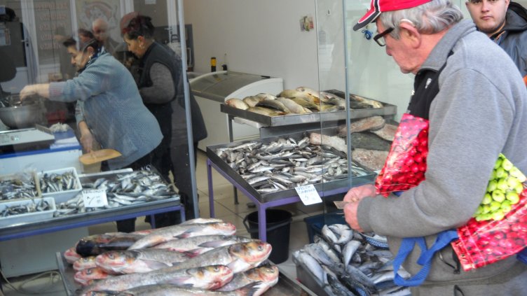 Промени в Закона за водите искат да има производители на риба