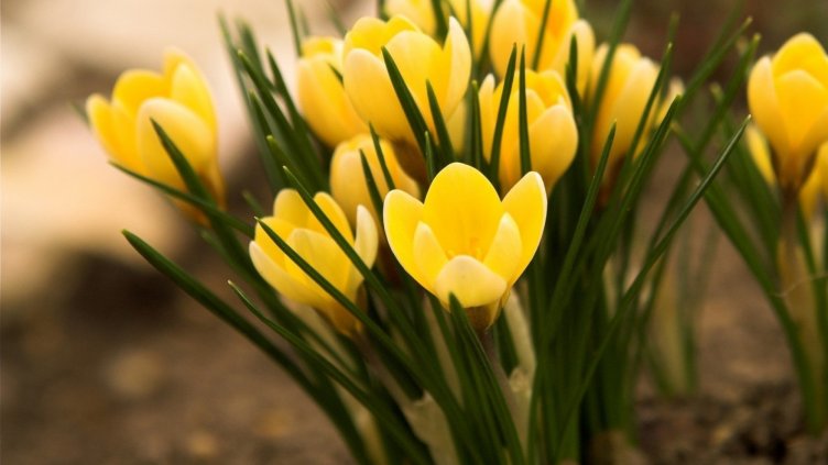 Рекордни 21°C измериха в Русе