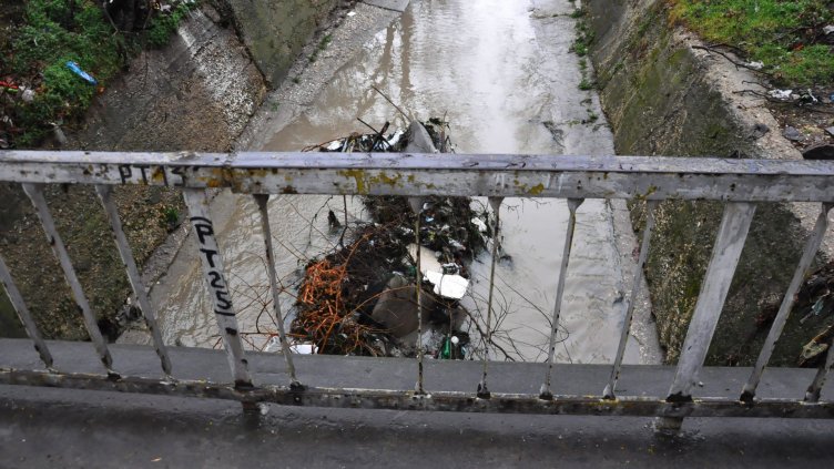 Снимка Пламен Гутинов