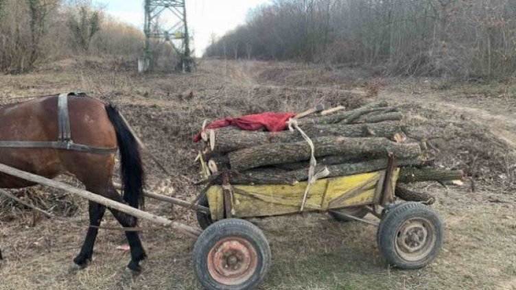 Почти 7000 семейства във Варна ще се отопляват с дърва тази зима