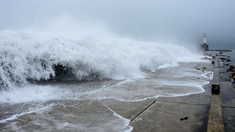 Снимка Пламен Гутинов