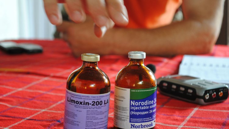 Снимка БНР.