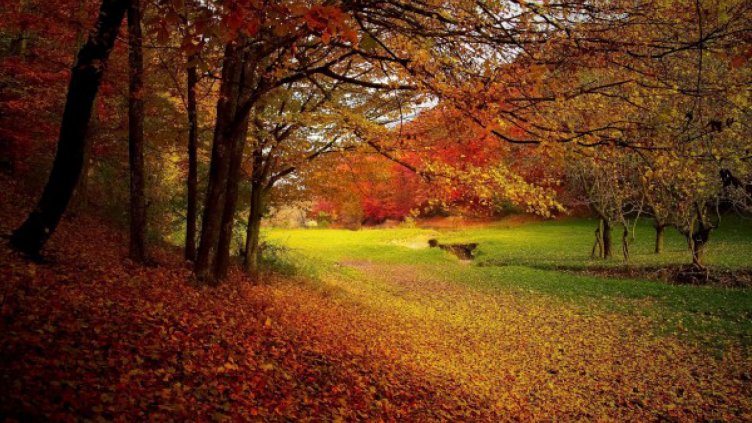 Летни температури и в началото на септември, дъждовете - след 10-и