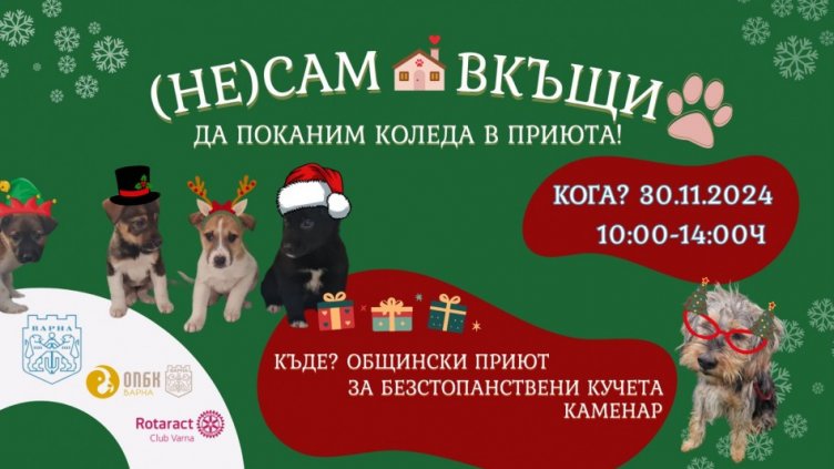 Канят варненци да посетят приюта в Каменар тази събота