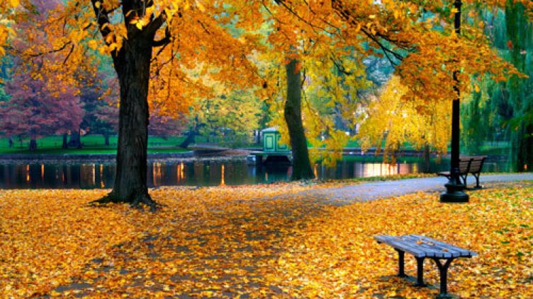 Слънчева есен до 10 ноември, после – сняг