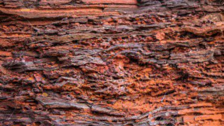 Микроби, които се хранят с желязо, допринесли за древни залежи от руда