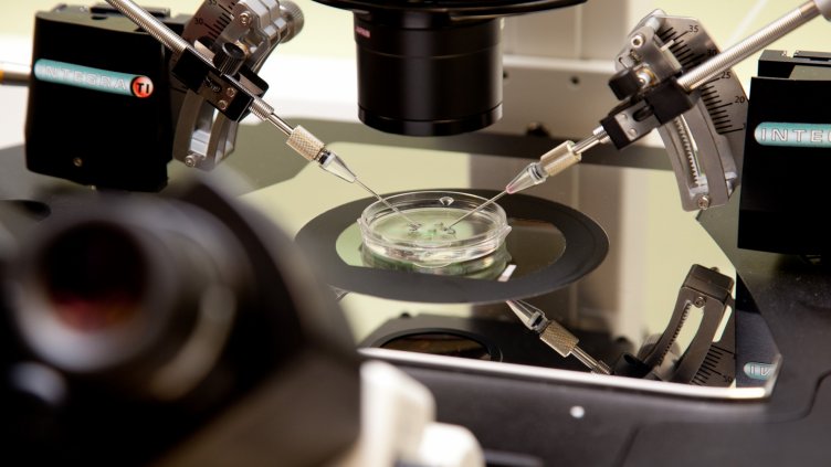 Чиновници препънаха инвитрото	