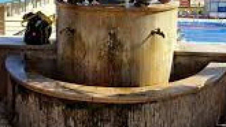 Водата от чешмата с драконите не става за пиене