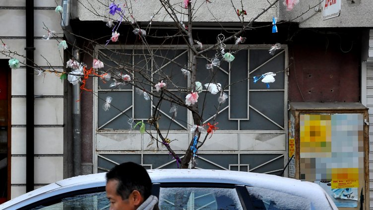 Снимка ПЛАМЕН ГУТИНОВ