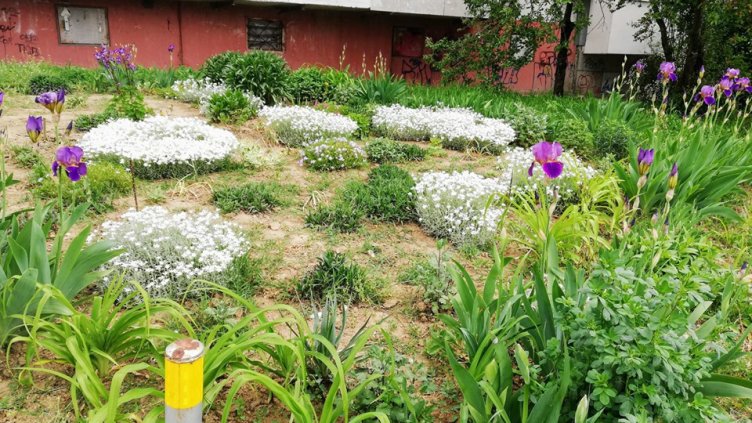 Варненци вече могат да кандидатстват за общински пари за градинки пред блоковете