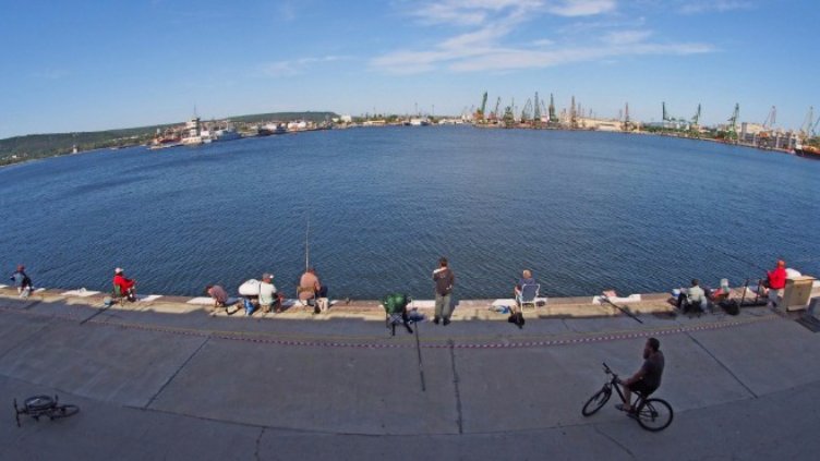 От Черно море се вади повече незаконен калкан