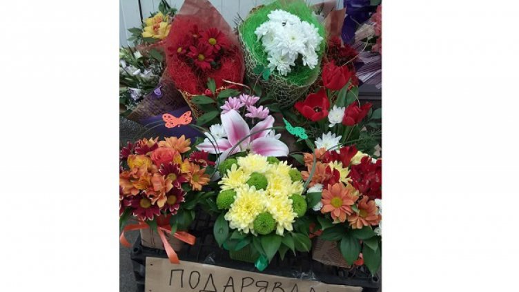 Добрият пример: Във Владиславово подаряват цветя за настроение