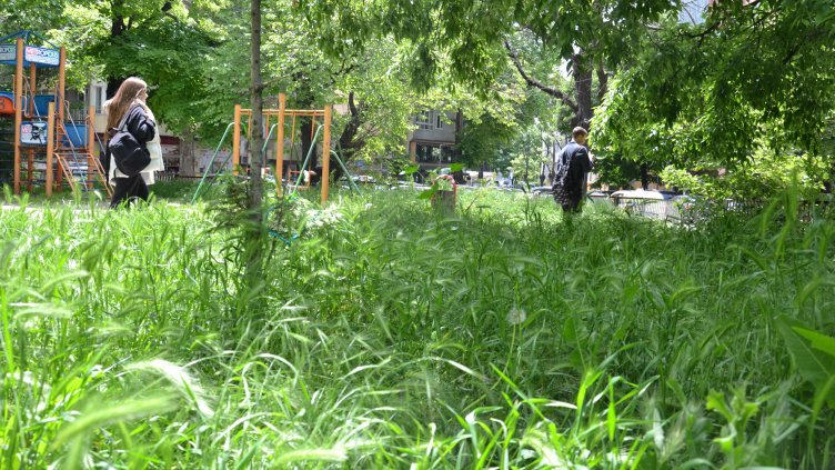 Започна втора масирана обработка против кърлежи в паркове и площадки