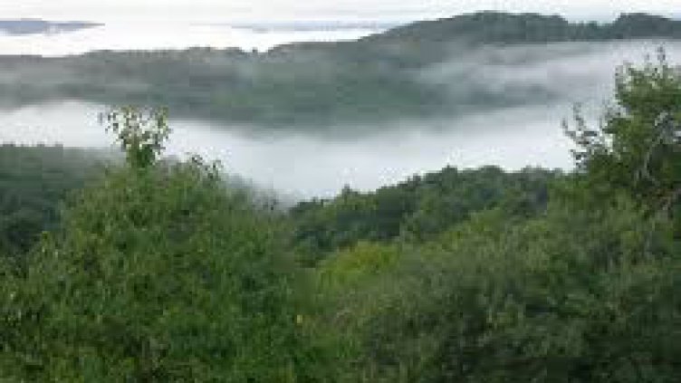 Нов директор в парк "Странджа"