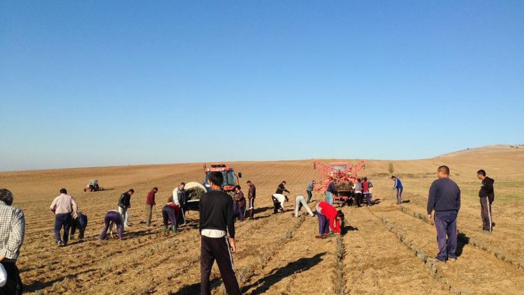 Работата без трудов договор вече ще е законна