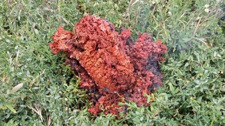 Мистика: Никой у нас не знае каква е падналата от небето червена материя в Якоруда? (ВИДЕО)