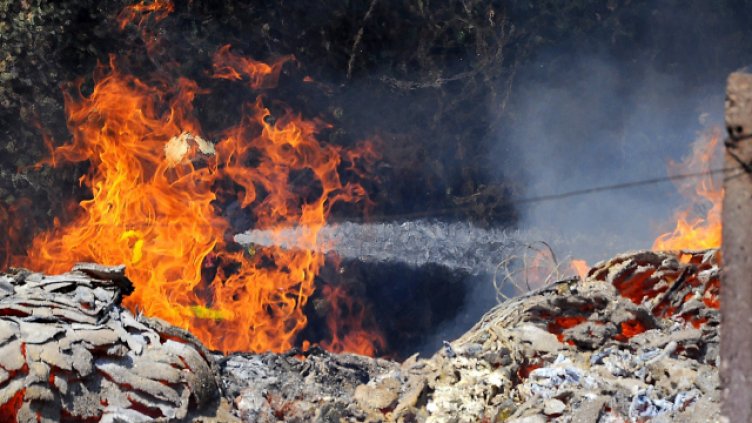 Снимка Пламен Гутинов, архив