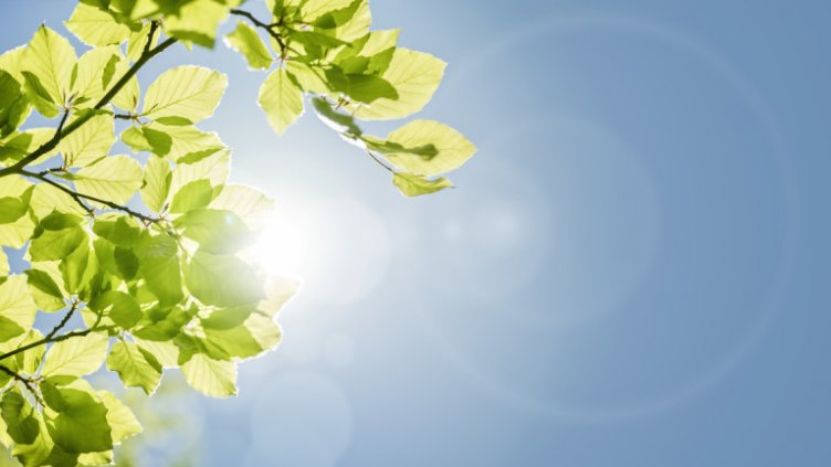 Новата седмица ни посреща със слънце