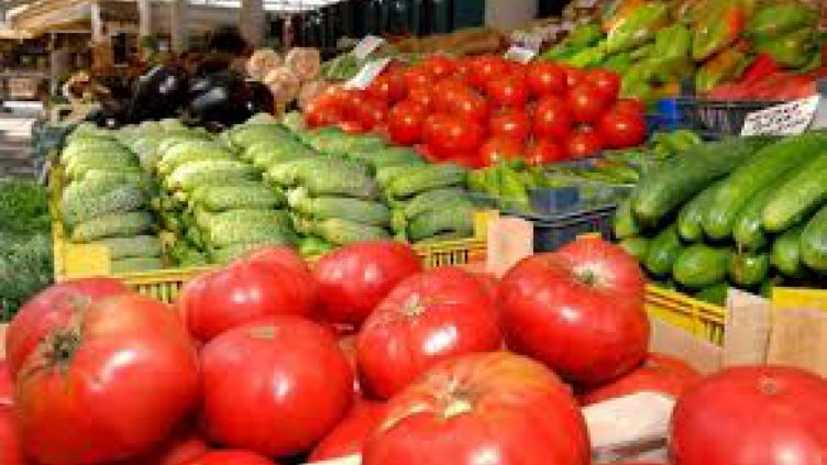 Обезщетиха производители във Варненско, засегнати от руското ембарго