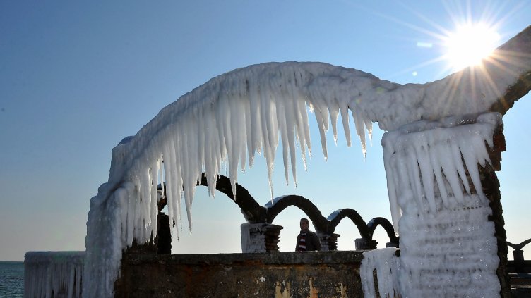 Снимка Пламен Гутинов