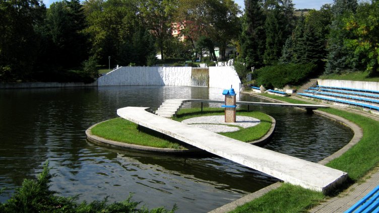 Откраднаха лебедите от български парк