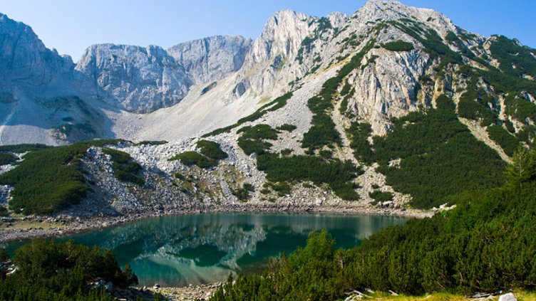 1/3 от защитените територии в света са унищожени от човешка дейност