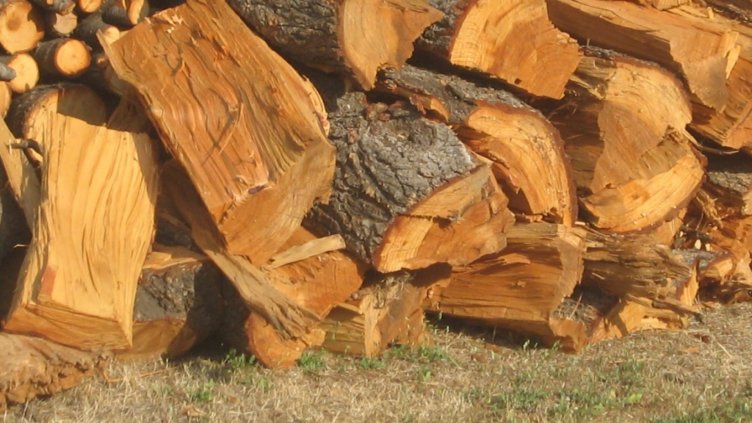 Всеки втори социалнослаб се топли на дърва и въглища