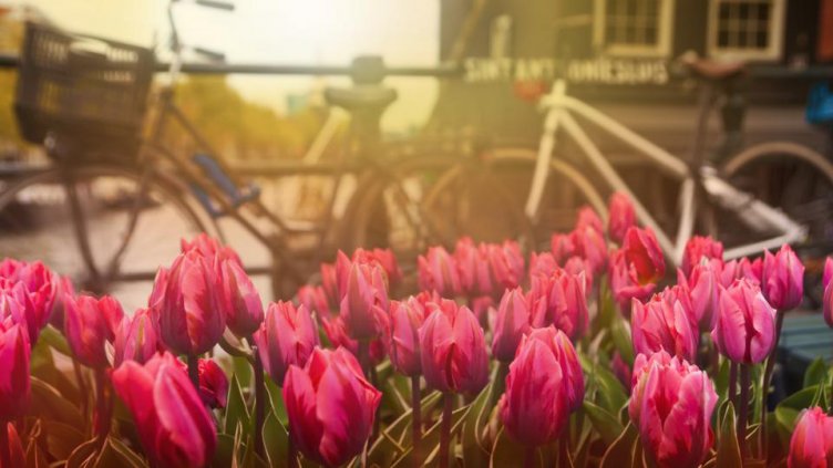 Хороскопът ви за 25 април