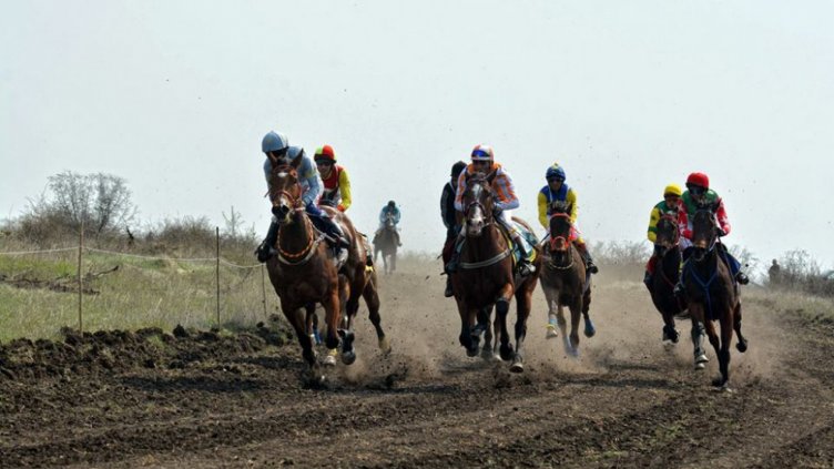 Конни кушии за Тодоровден от София до Варна