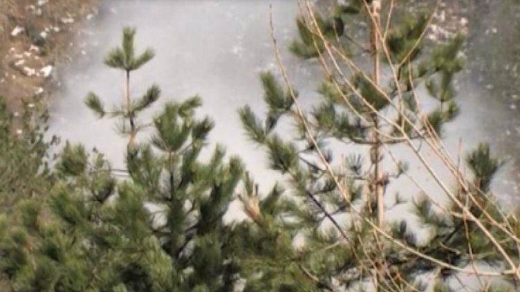 Снимка Dnes.bg