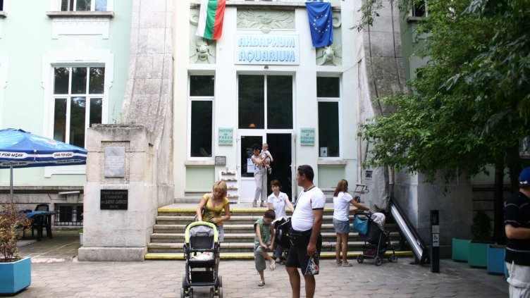 Ден на отворените врати в Аквариума