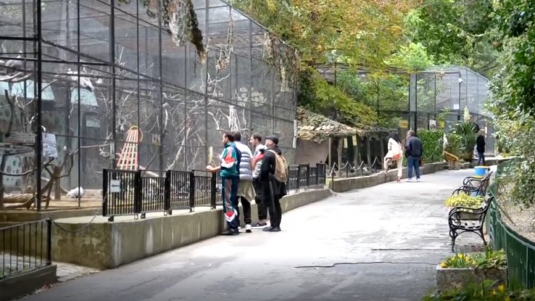 Зоопаркът във Варна е готов за зимата (ВИДЕО)