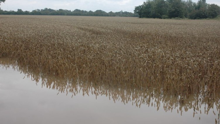 Обезщетяват варненски фермери за пропаднали земеделски площи