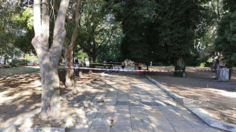 Откриха труп на млад мъж до Историческия музей във Варна