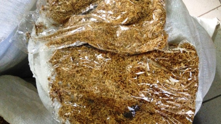 Снимката е илюстративна