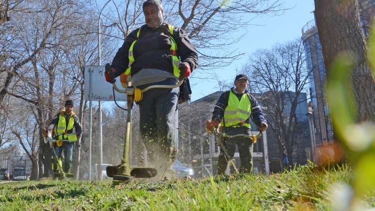 До месец приключва разчистването в Морска градина на Варна, косенето до 10 дни