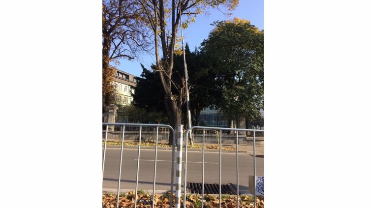 Парадокс във Варна