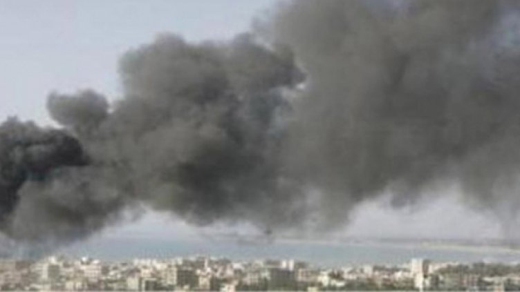 Удавените овце край Варна дошли от Румъния