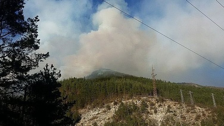 Снимка dariknews