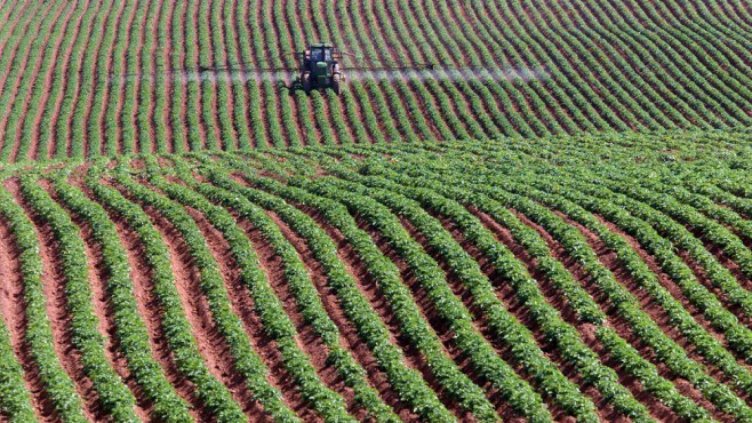 Хиляди нашенци с нередовни договори работят в земеделския сектор в чужбина