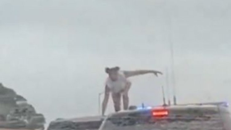 Жена лъсна дибидюс гола при гонка с полицията (ВИДЕО)