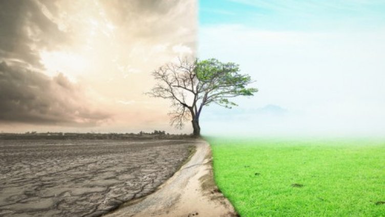 Отбелязваме Европейския ден в памет на жертвите на световната климатична криза