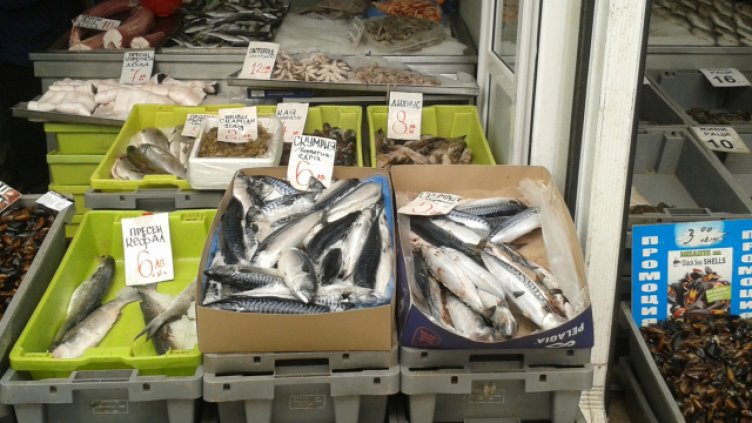 снимка: Ели Маринова