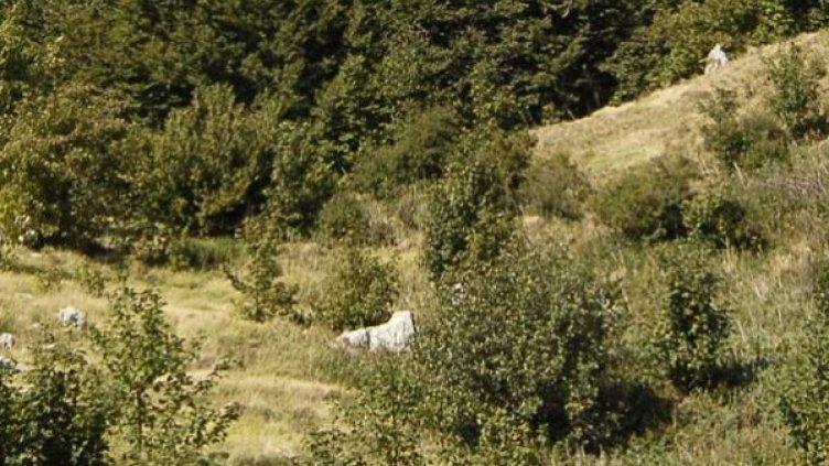 Хлапе се изгуби край Рожен, скитало се 8 км  